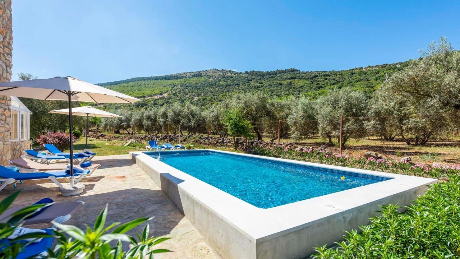 Casa Rural El Ciruelo Loco Alfarnate By Ruralidays Alfarnatejo Екстер'єр фото